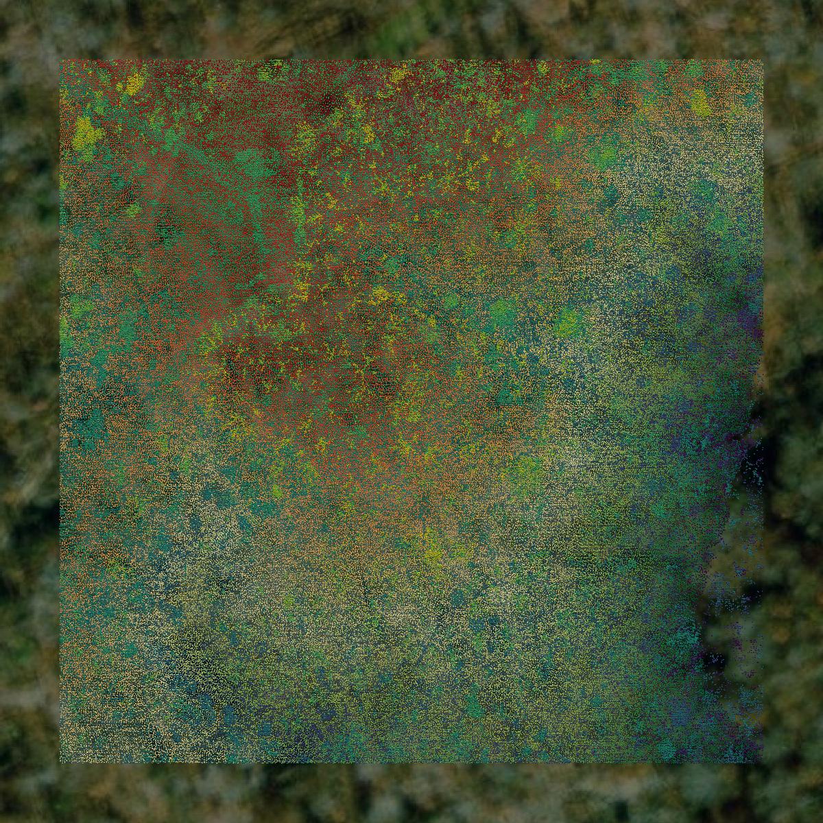 This image shows a LiDAR point cloud in Patrick County created using GIS data in Equator.