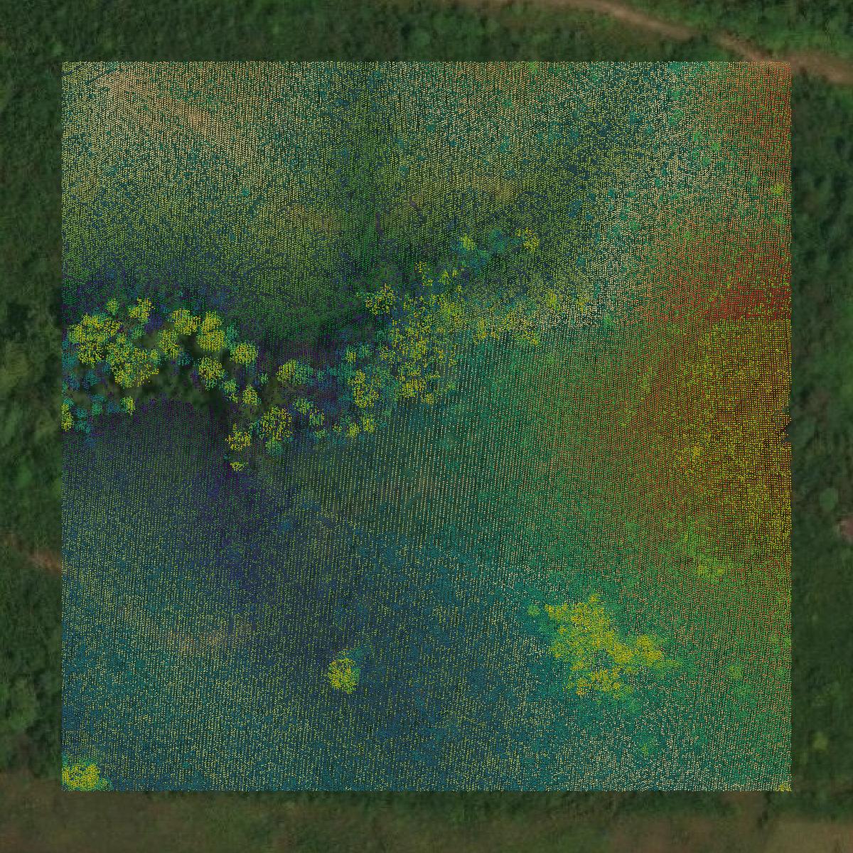 This image shows a LiDAR point cloud in Pittsylvania County created using GIS data in Equator.