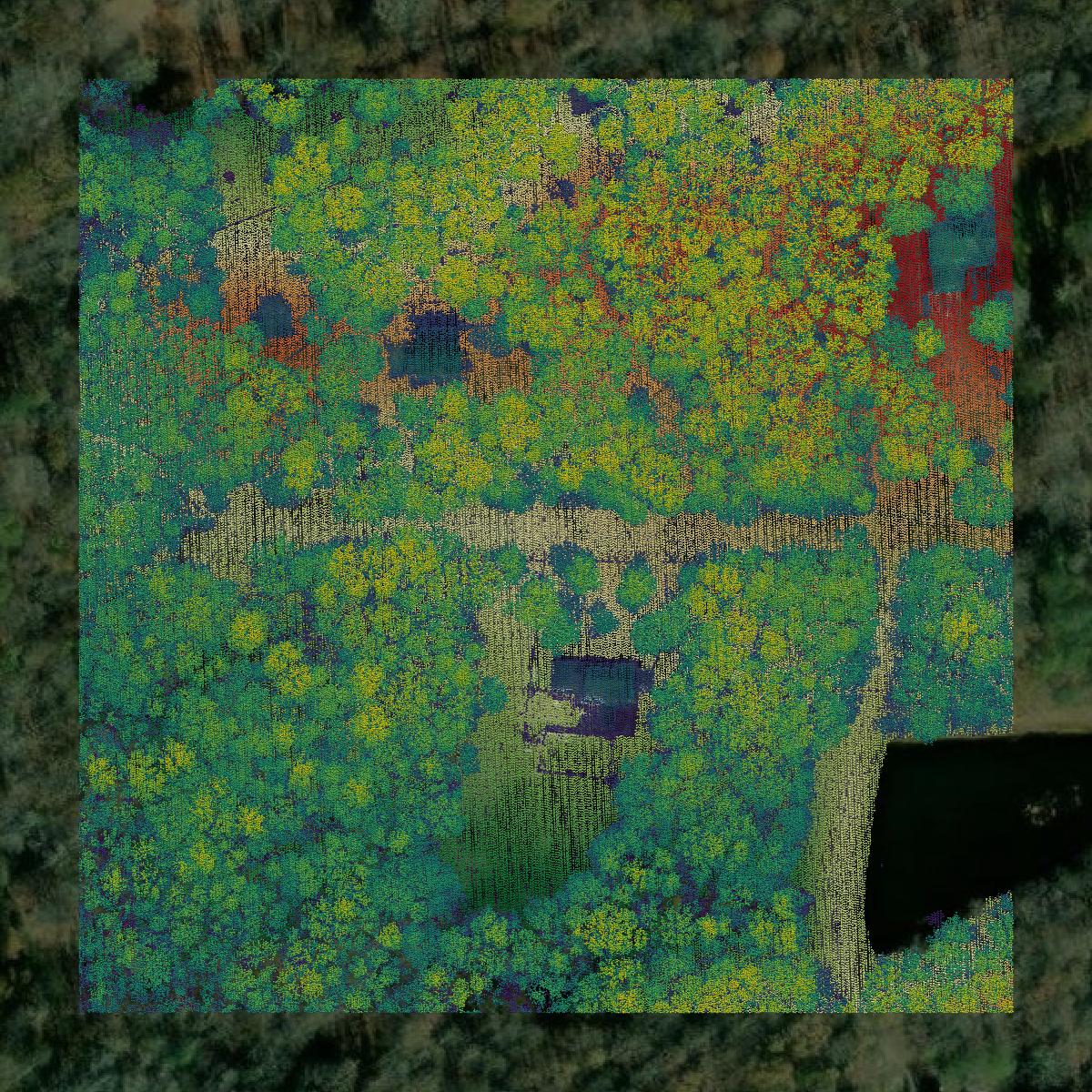 This image shows a LiDAR point cloud in Powhatan County created using GIS data in Equator.