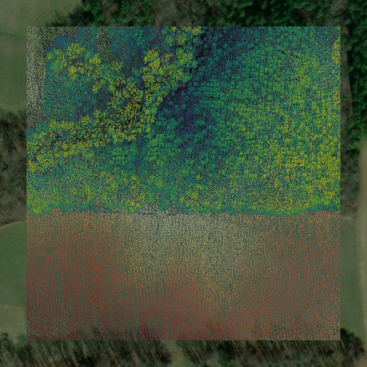 This image shows a LiDAR point cloud in Powhatan County created using GIS data in Equator.