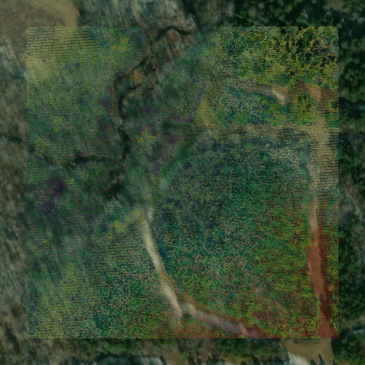 This image shows a LiDAR point cloud in Prince Edward County created using GIS data in Equator.