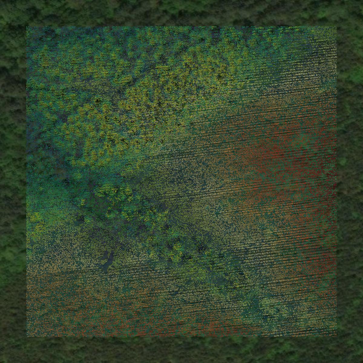 This image shows a LiDAR point cloud in Prince Edward County created using GIS data in Equator.