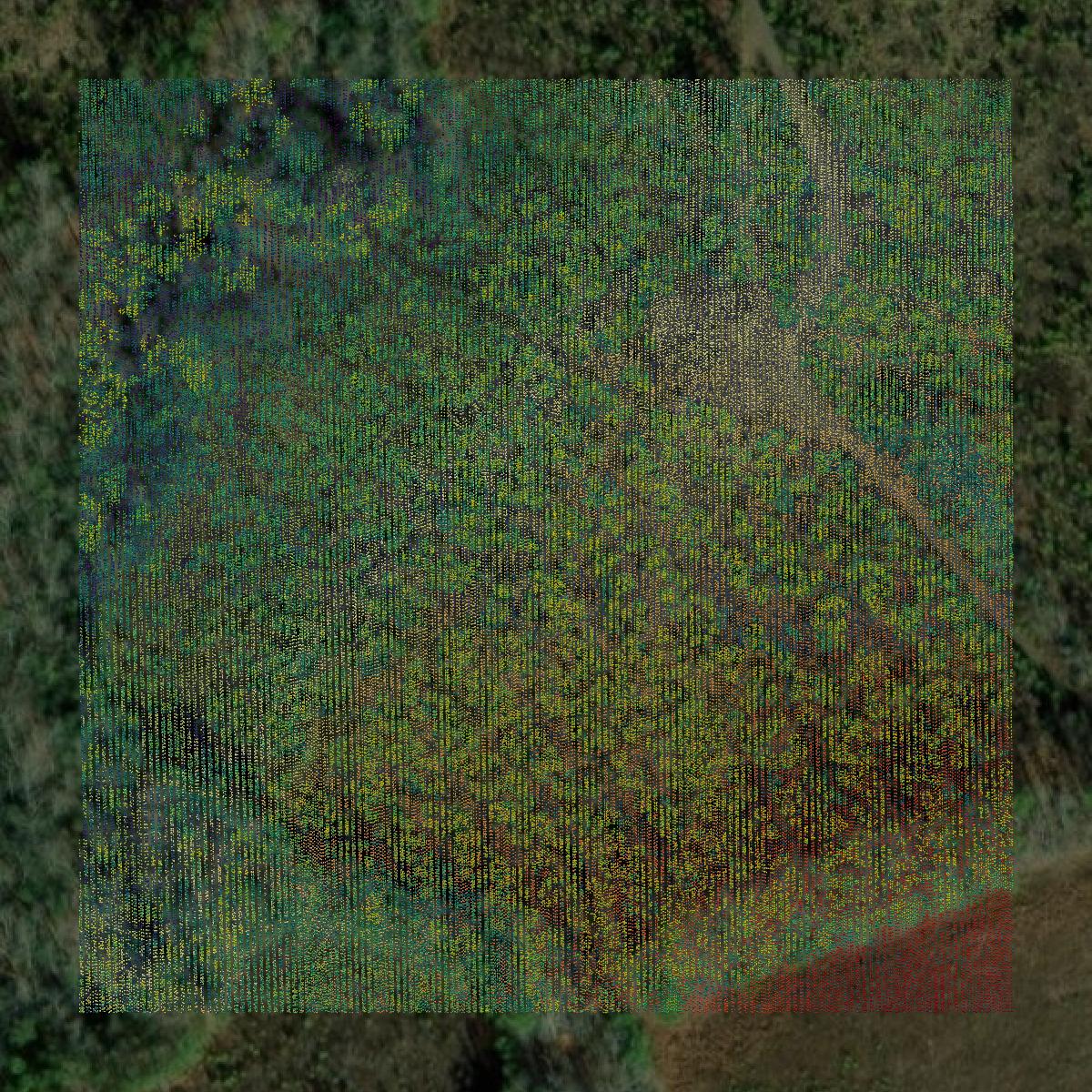 This image shows a LiDAR point cloud in Prince George County created using GIS data in Equator.
