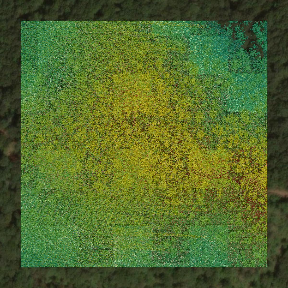 This image shows a LiDAR point cloud in Pulaski County created using GIS data in Equator.