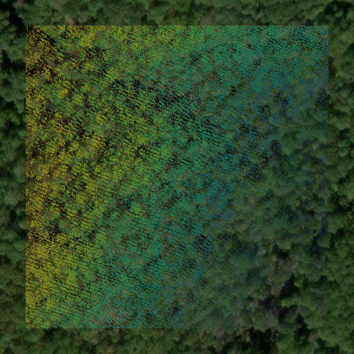 This image shows a LiDAR point cloud in Rappahannock County created using GIS data in Equator.