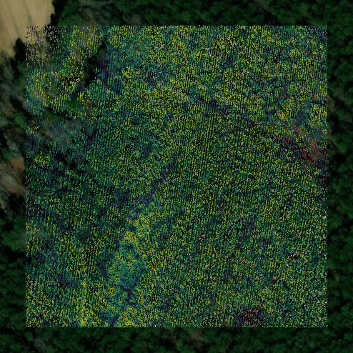 This image shows a LiDAR point cloud in Richmond County created using GIS data in Equator.