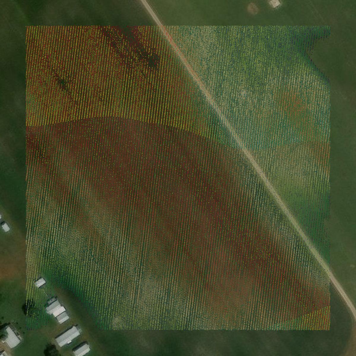 This image shows a LiDAR point cloud in Richmond County created using GIS data in Equator.