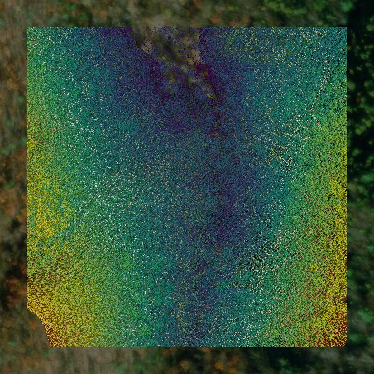 This image shows a LiDAR point cloud in Roanoke County created using GIS data in Equator.