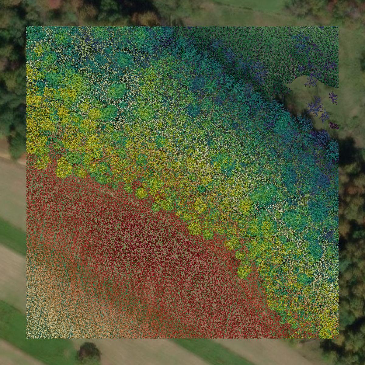 This image shows a LiDAR point cloud in Rockbridge County created using GIS data in Equator.