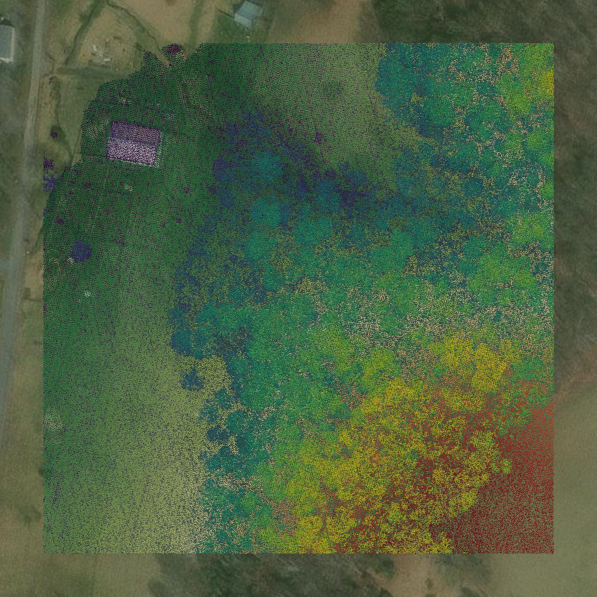 This image shows a LiDAR point cloud in Rockbridge County created using GIS data in Equator.