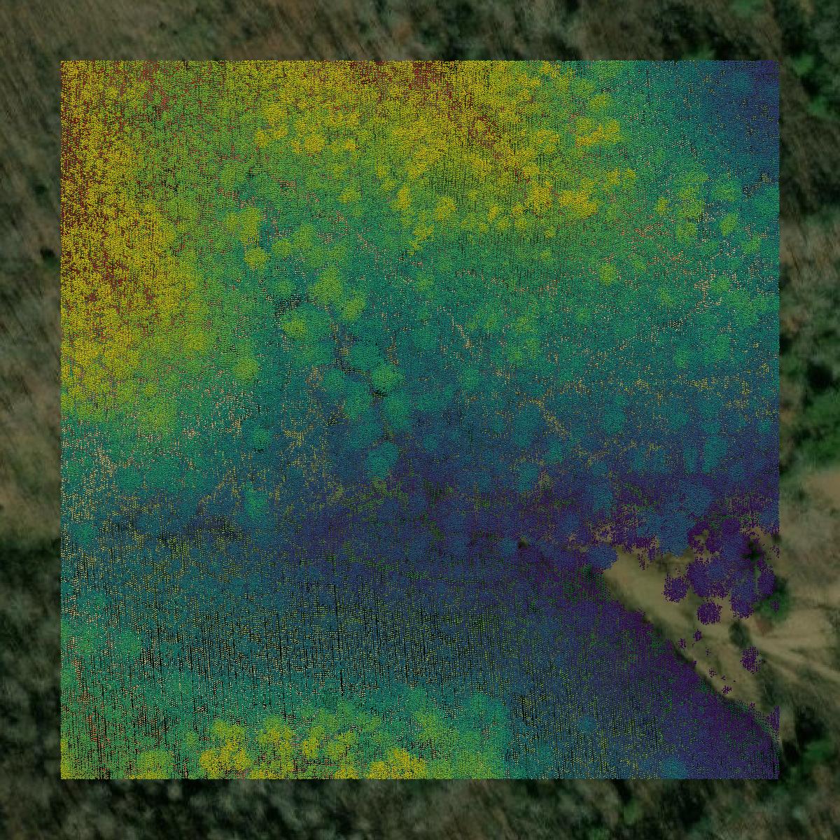 This image shows a LiDAR point cloud in Russell County created using GIS data in Equator.