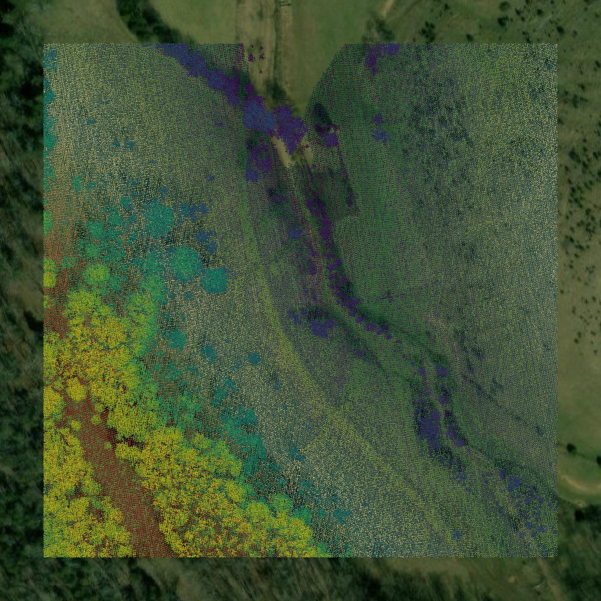 This image shows a LiDAR point cloud in Russell County created using GIS data in Equator.