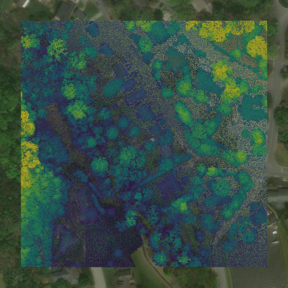 This image shows a LiDAR point cloud in Salem city created using GIS data in Equator.