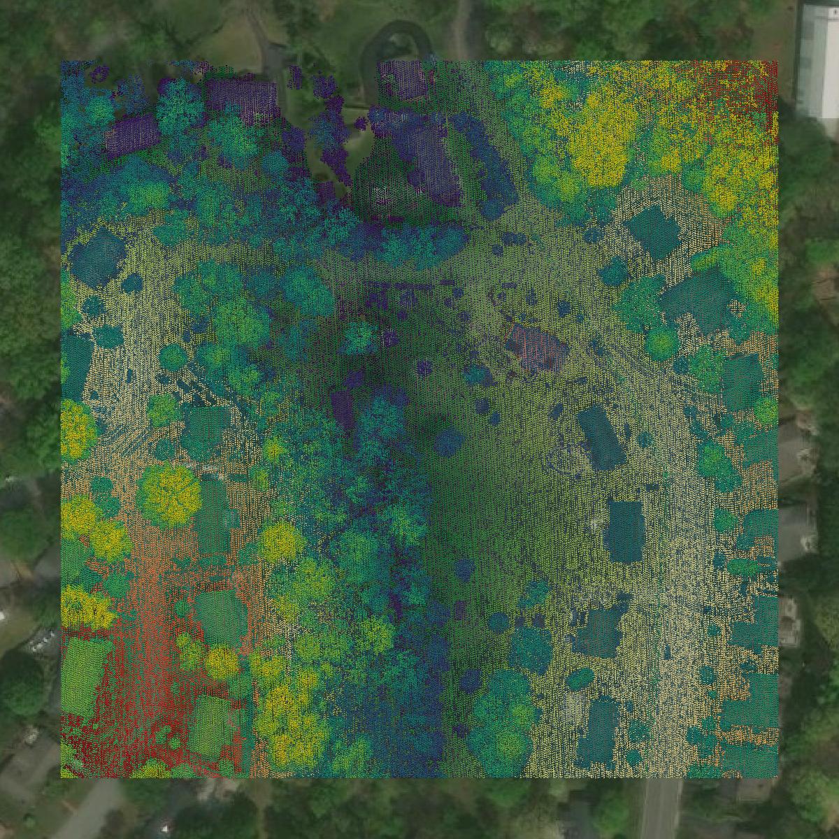 This image shows a LiDAR point cloud in Salem city created using GIS data in Equator.