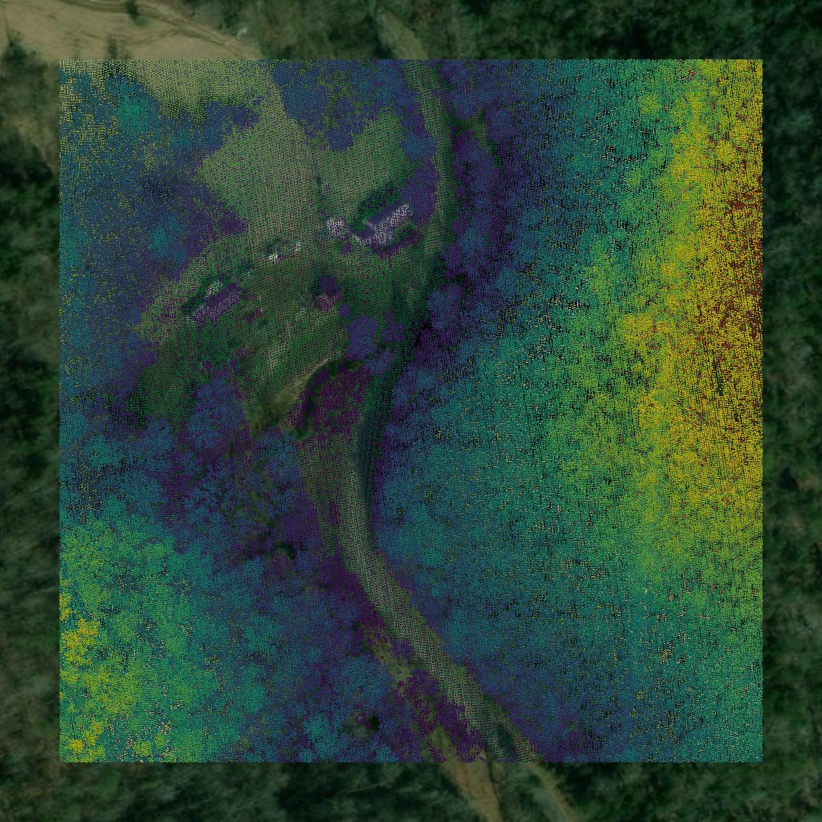 This image shows a LiDAR point cloud in Scott County created using GIS data in Equator.