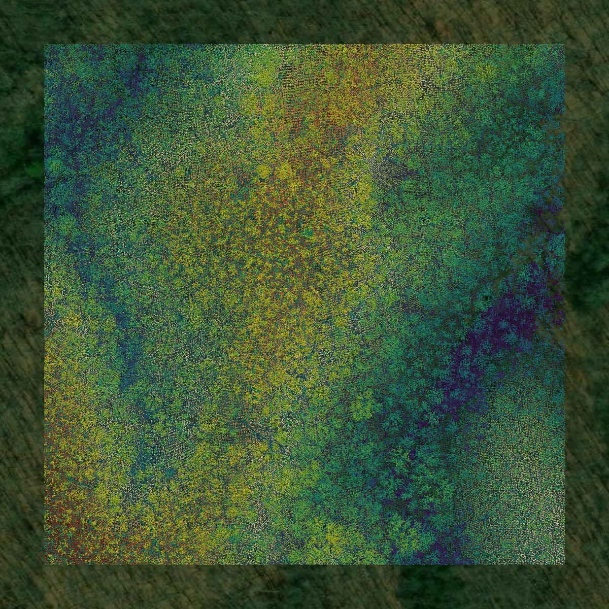 This image shows a LiDAR point cloud in Scott County created using GIS data in Equator.