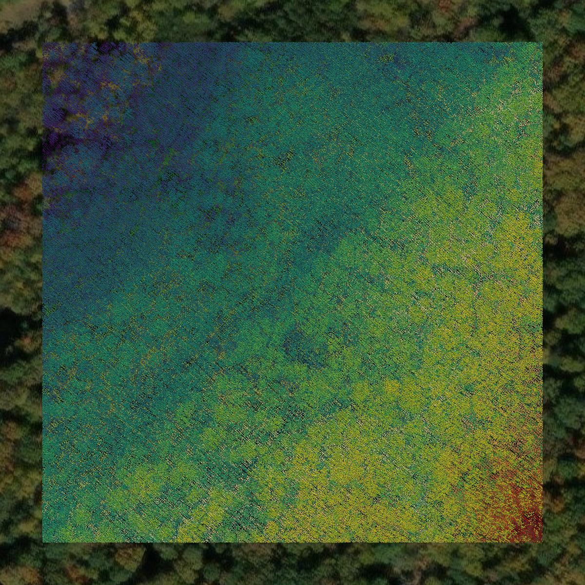 This image shows a LiDAR point cloud in Shenandoah County created using GIS data in Equator.