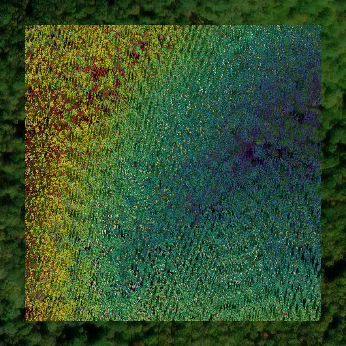 This image shows a LiDAR point cloud in Smyth County created using GIS data in Equator.