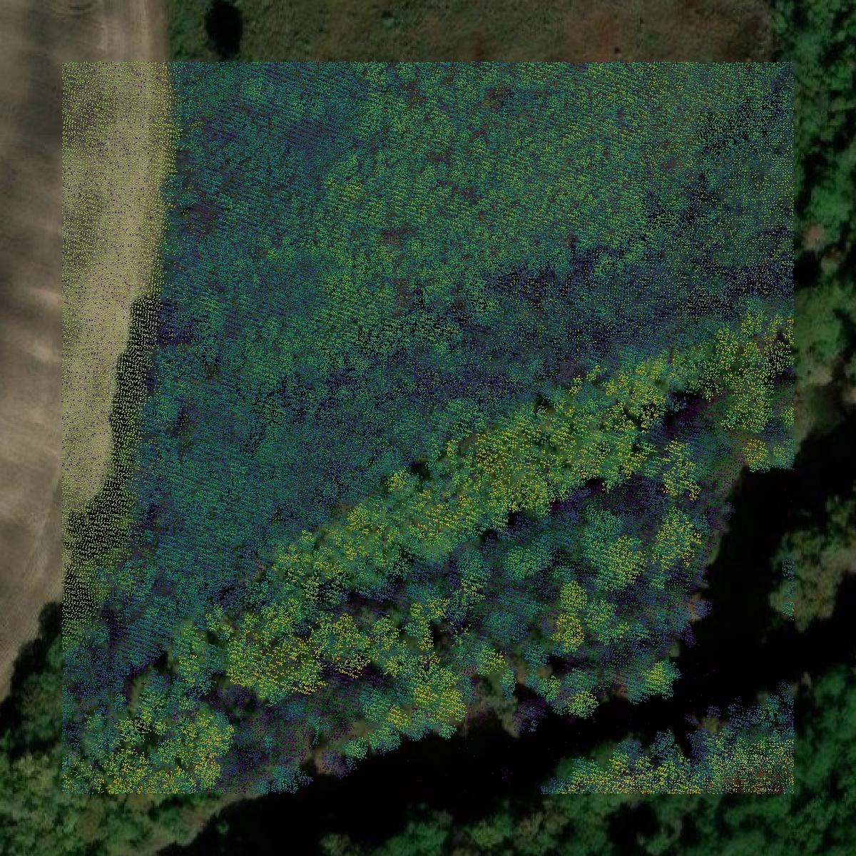 This image shows a LiDAR point cloud in Southampton County created using GIS data in Equator.