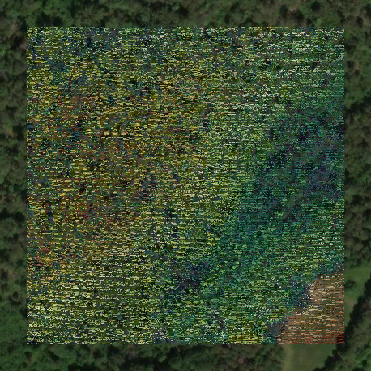 This image shows a LiDAR point cloud in Spotsylvania County created using GIS data in Equator.