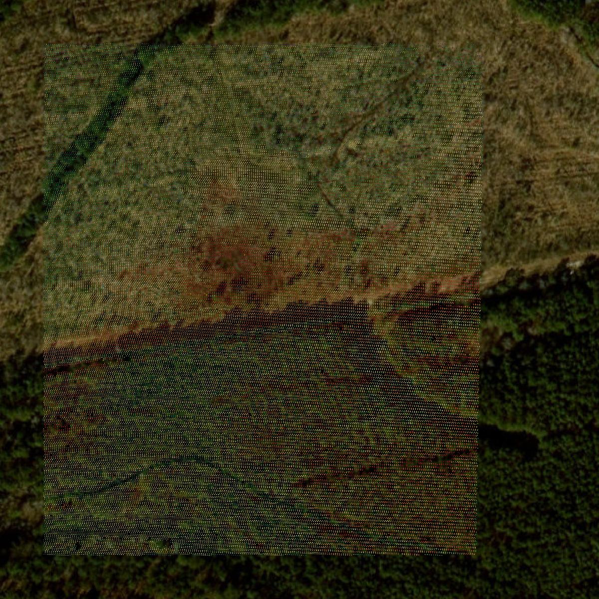 This image shows a LiDAR point cloud in Suffolk city created using GIS data in Equator.