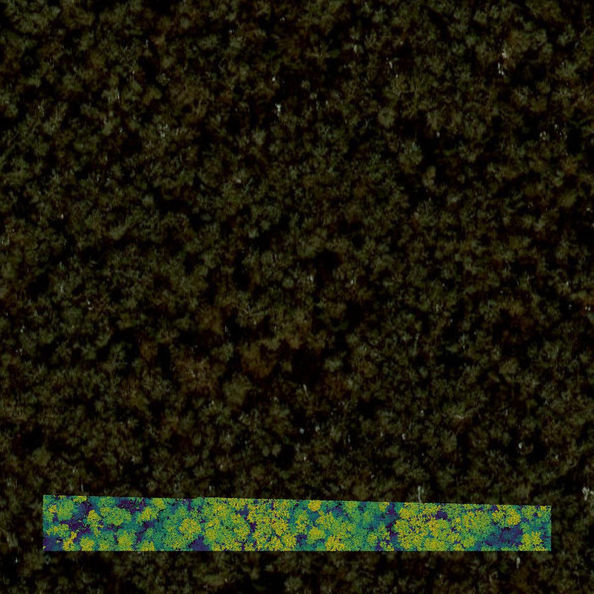 This image shows a LiDAR point cloud in Suffolk city created using GIS data in Equator.