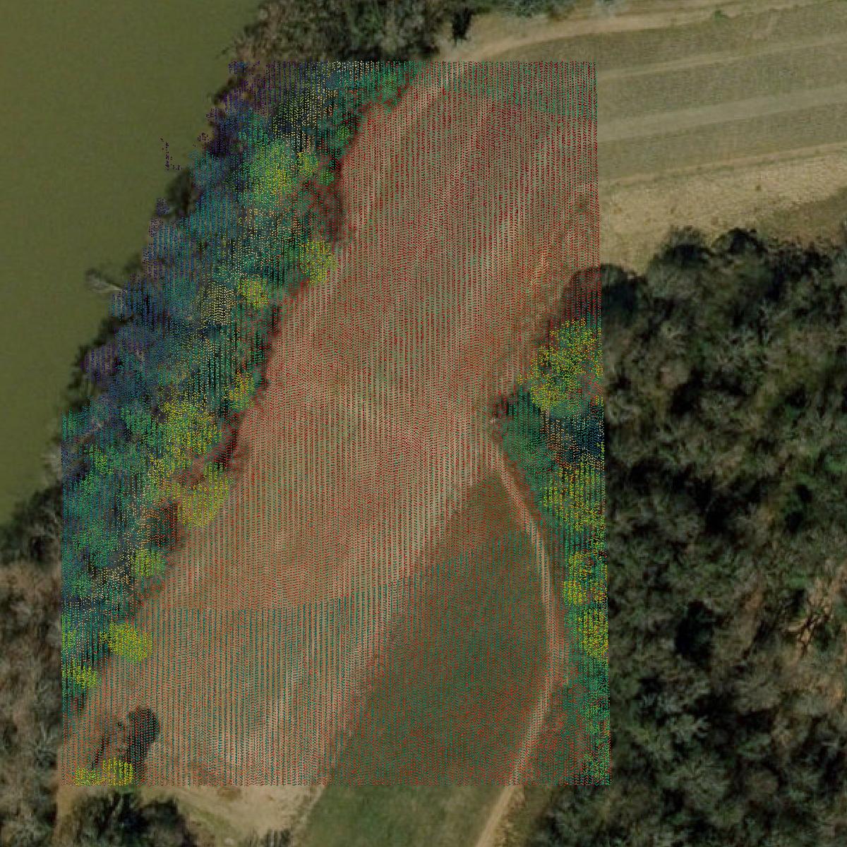 This image shows a LiDAR point cloud in Surry County created using GIS data in Equator.