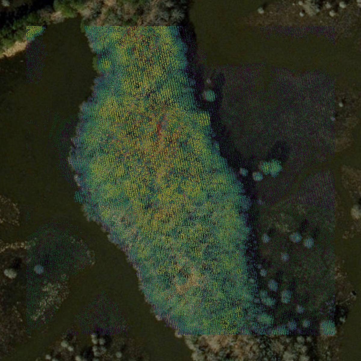 This image shows a LiDAR point cloud in Surry County created using GIS data in Equator.