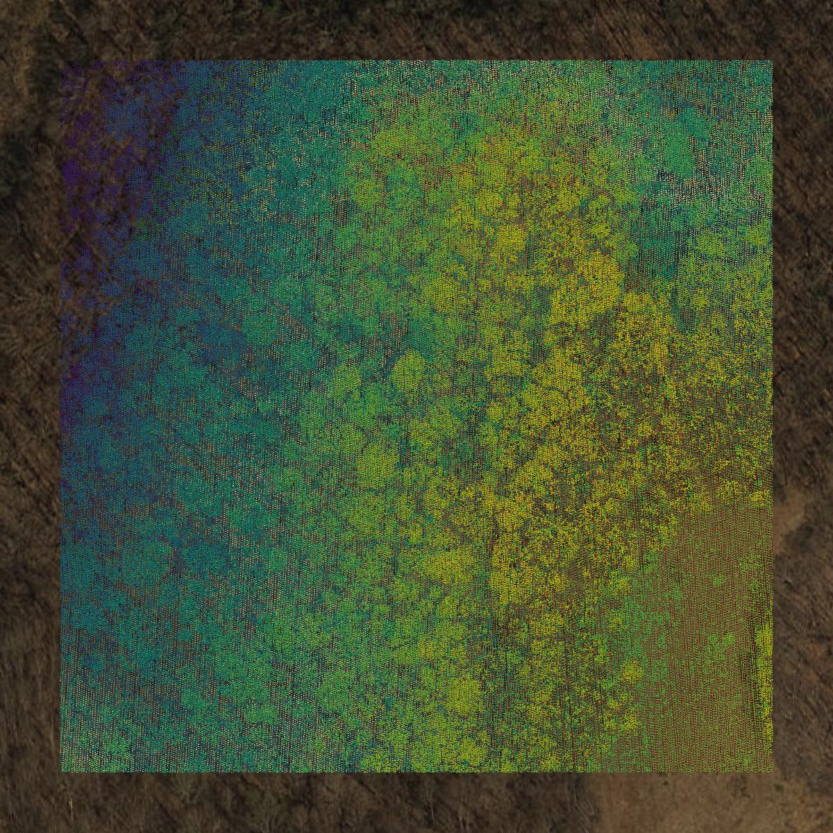This image shows a LiDAR point cloud in Tazewell County created using GIS data in Equator.