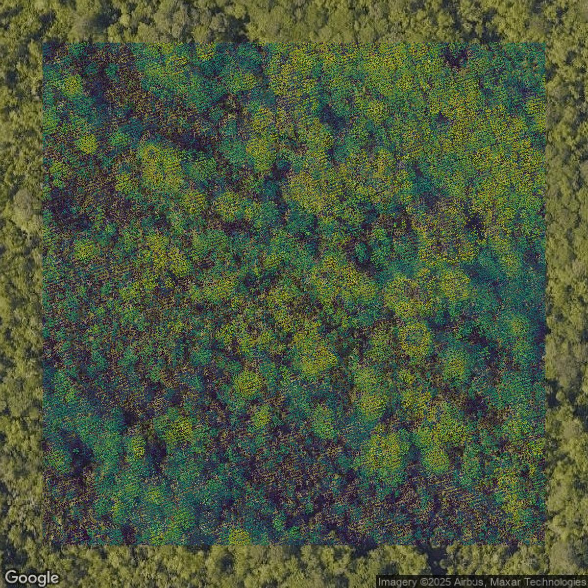 This image shows a LiDAR point cloud in Virginia Beach city created using GIS data in Equator.