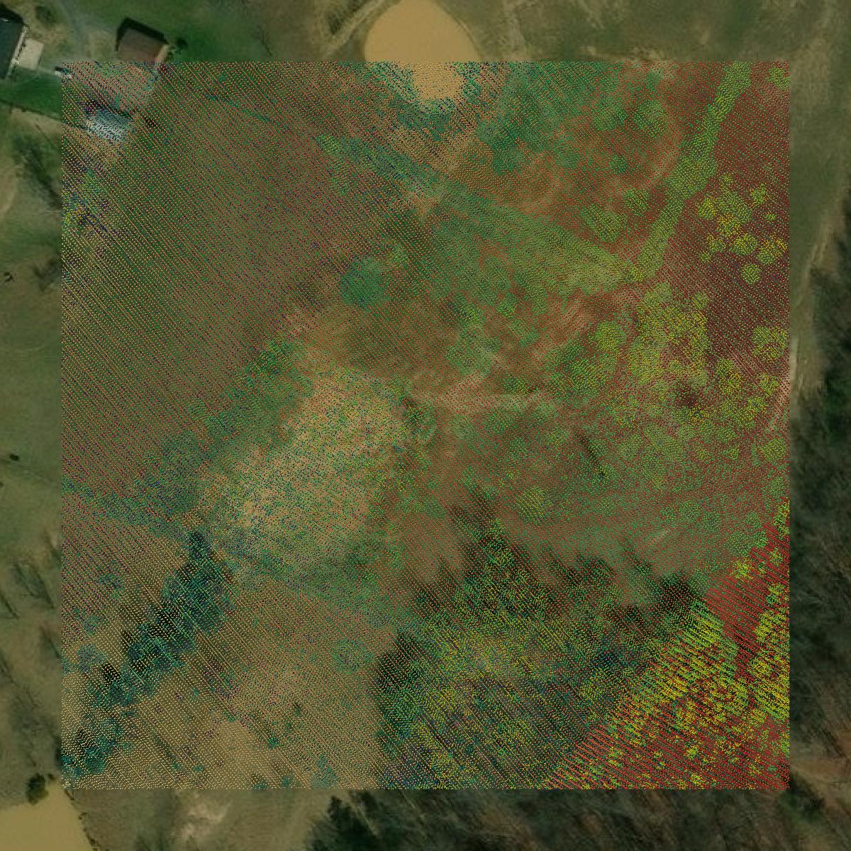 This image shows a LiDAR point cloud in Warren County created using GIS data in Equator.