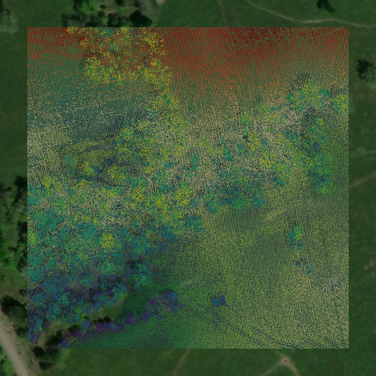 This image shows a LiDAR point cloud in Washington County created using GIS data in Equator.