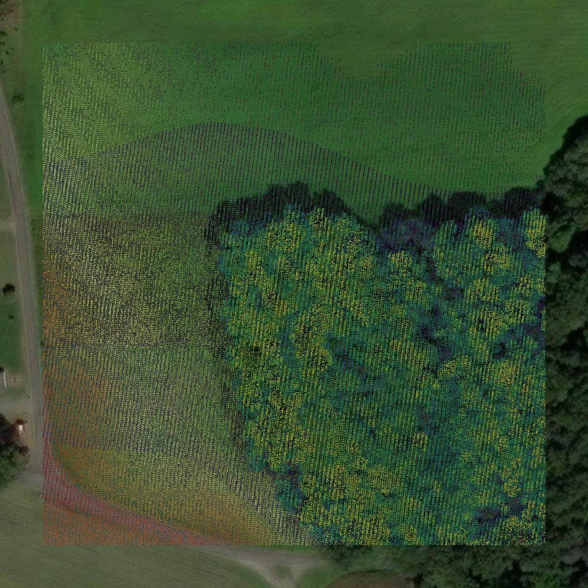 This image shows a LiDAR point cloud in Westmoreland County created using GIS data in Equator.