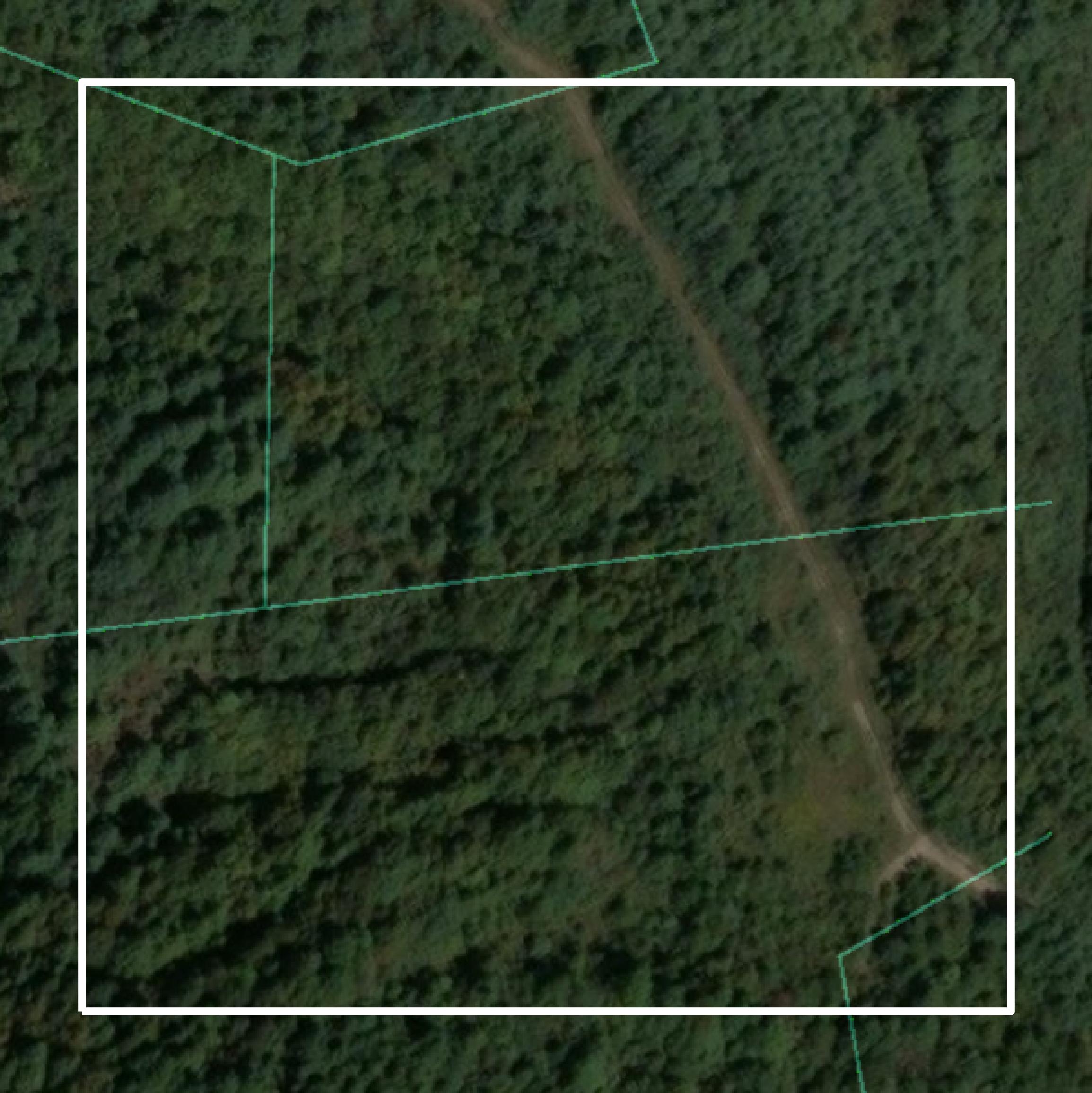 This image shows parcel and building data in Wise County created using GIS data in Equator.