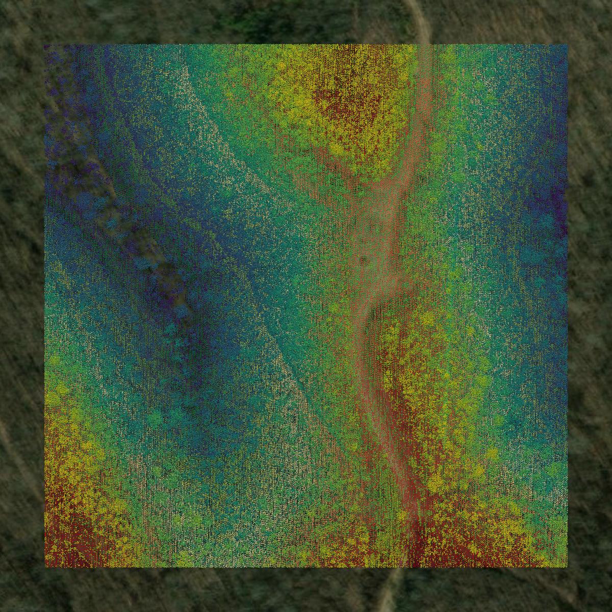 This image shows a LiDAR point cloud in Wise County created using GIS data in Equator.