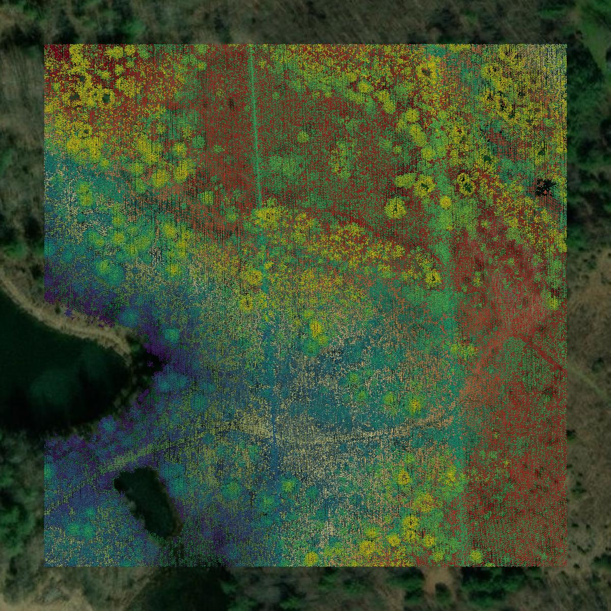 This image shows a LiDAR point cloud in Wise County created using GIS data in Equator.