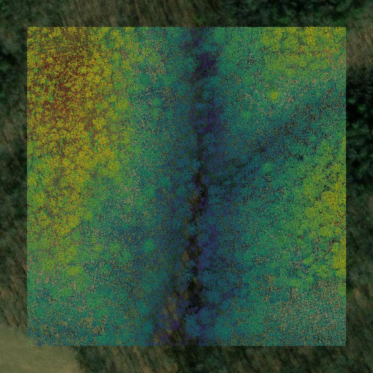 This image shows a LiDAR point cloud in Wythe County created using GIS data in Equator.