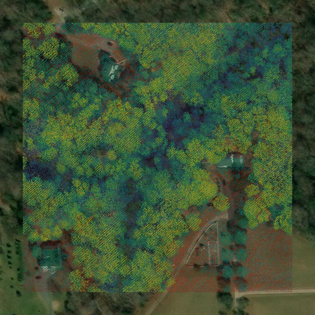 This image shows a LiDAR point cloud in York County created using GIS data in Equator.