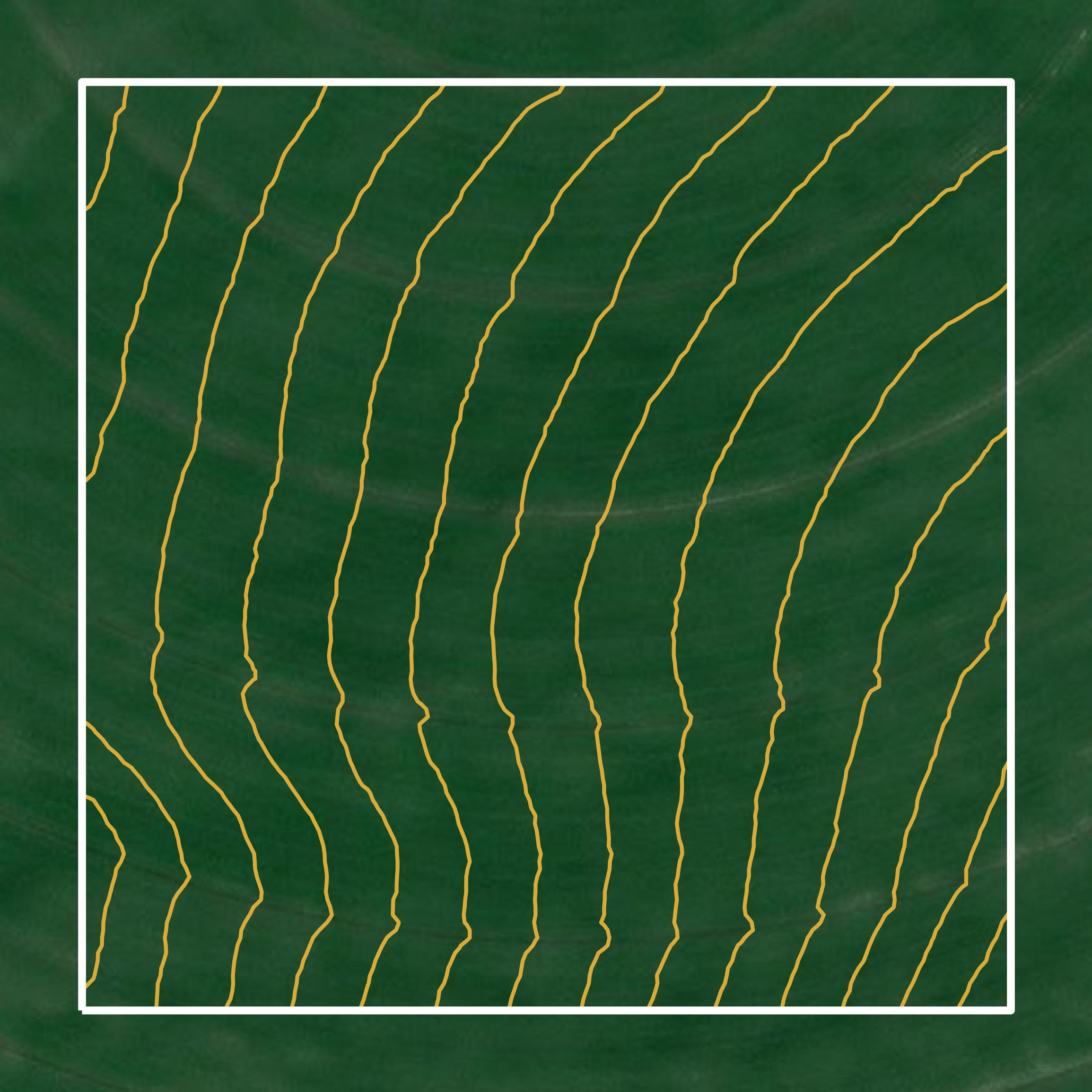 This image shows a contour map in Adams County created using GIS data in Equator.