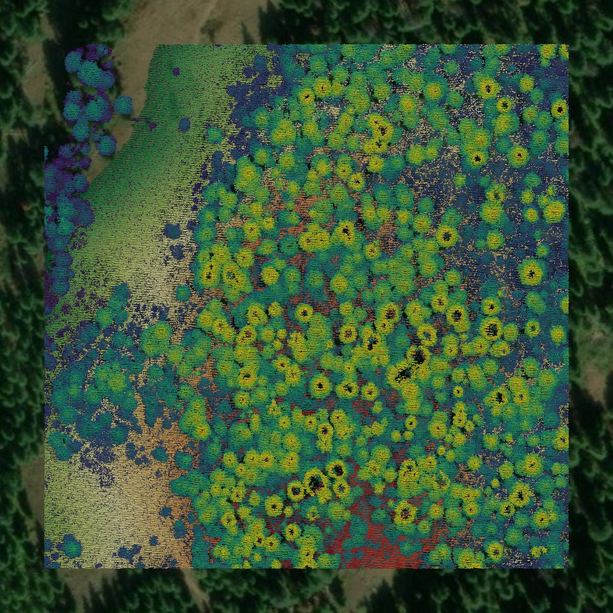 This image shows a LiDAR point cloud in Asotin County created using GIS data in Equator.