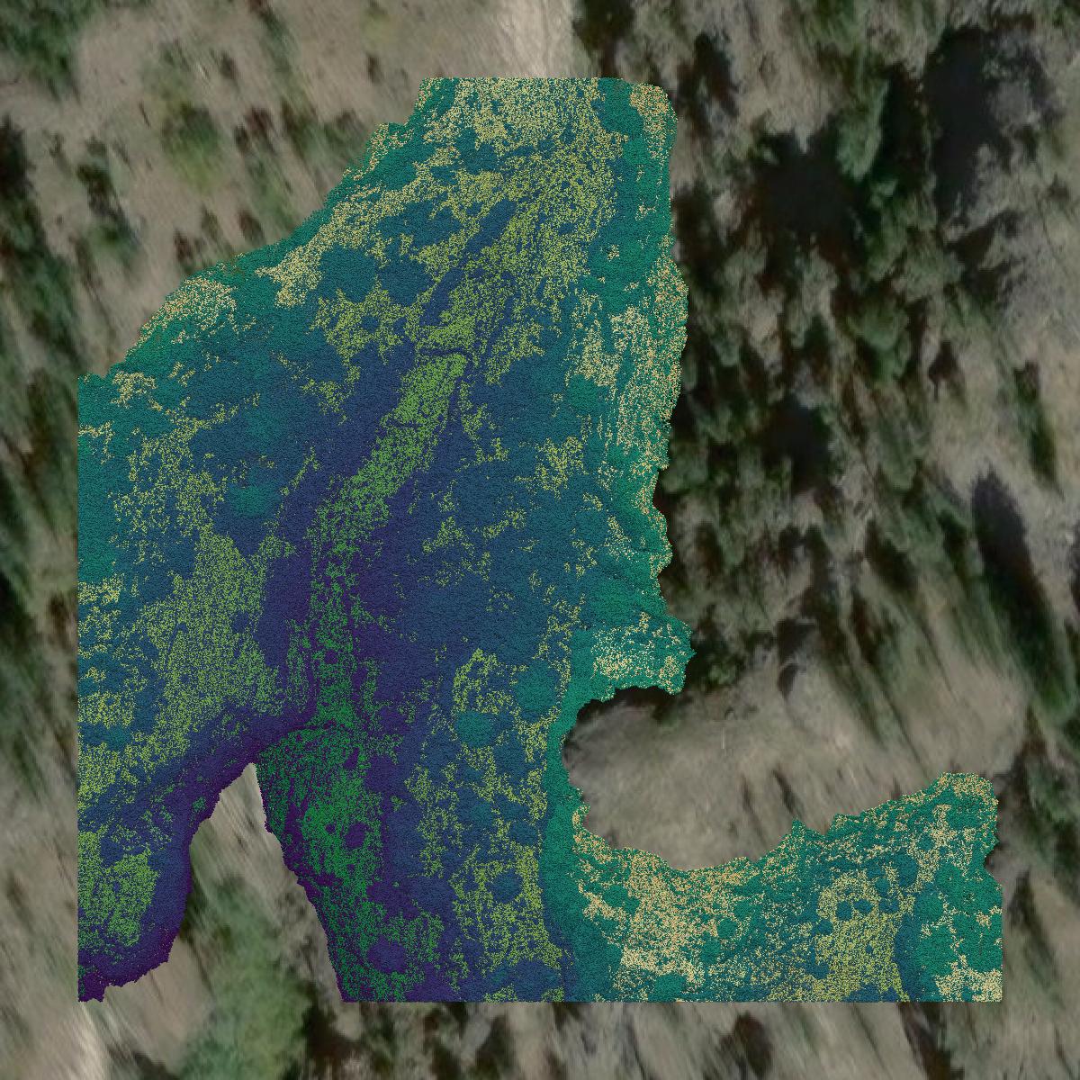 This image shows a LiDAR point cloud in Chelan County created using GIS data in Equator.