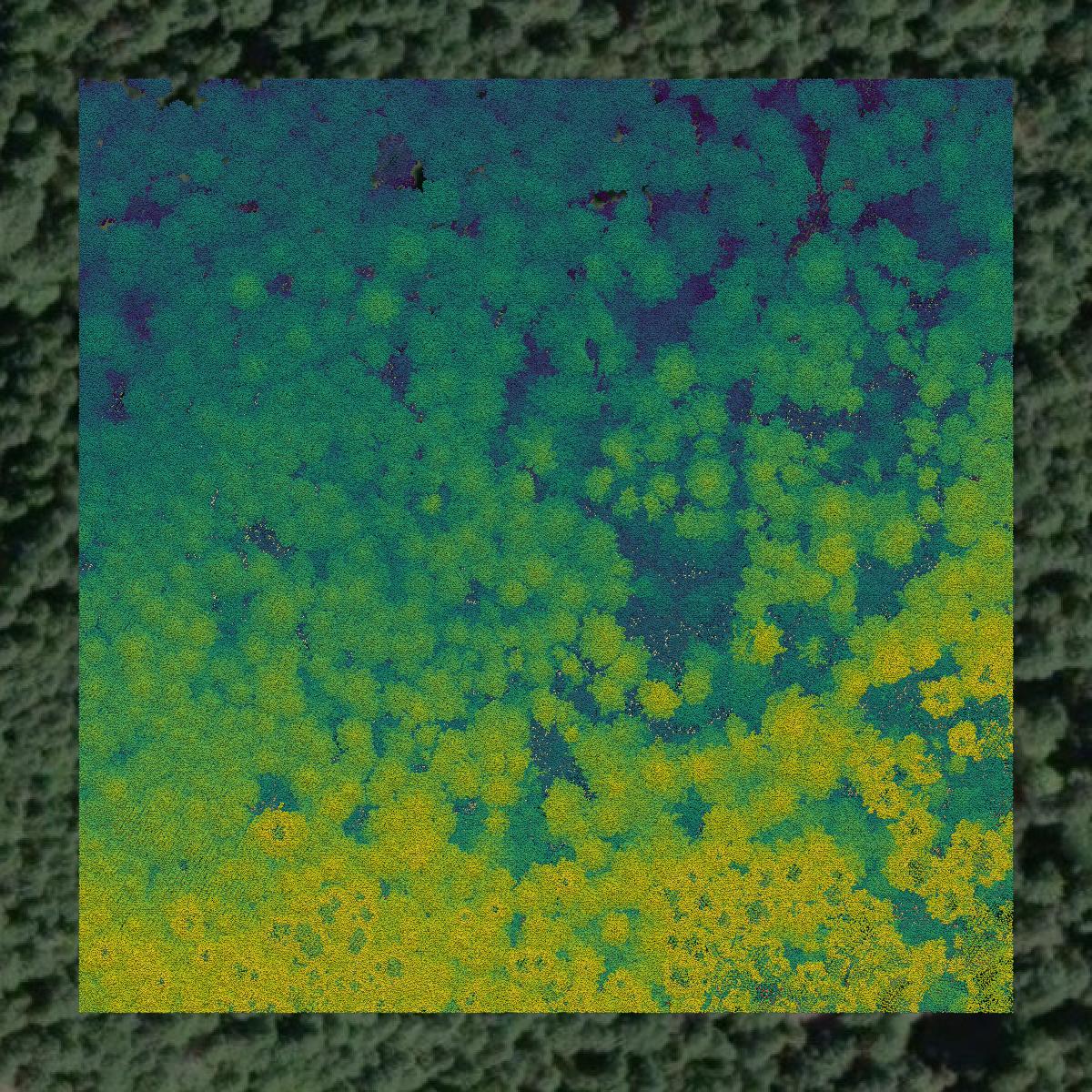 This image shows a LiDAR point cloud in Clallam County created using GIS data in Equator.