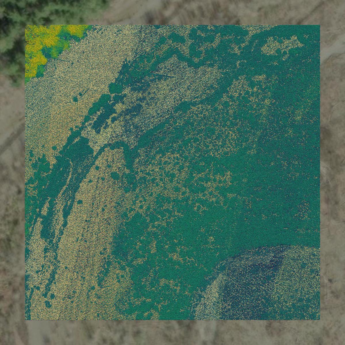 This image shows a LiDAR point cloud in Clallam County created using GIS data in Equator.