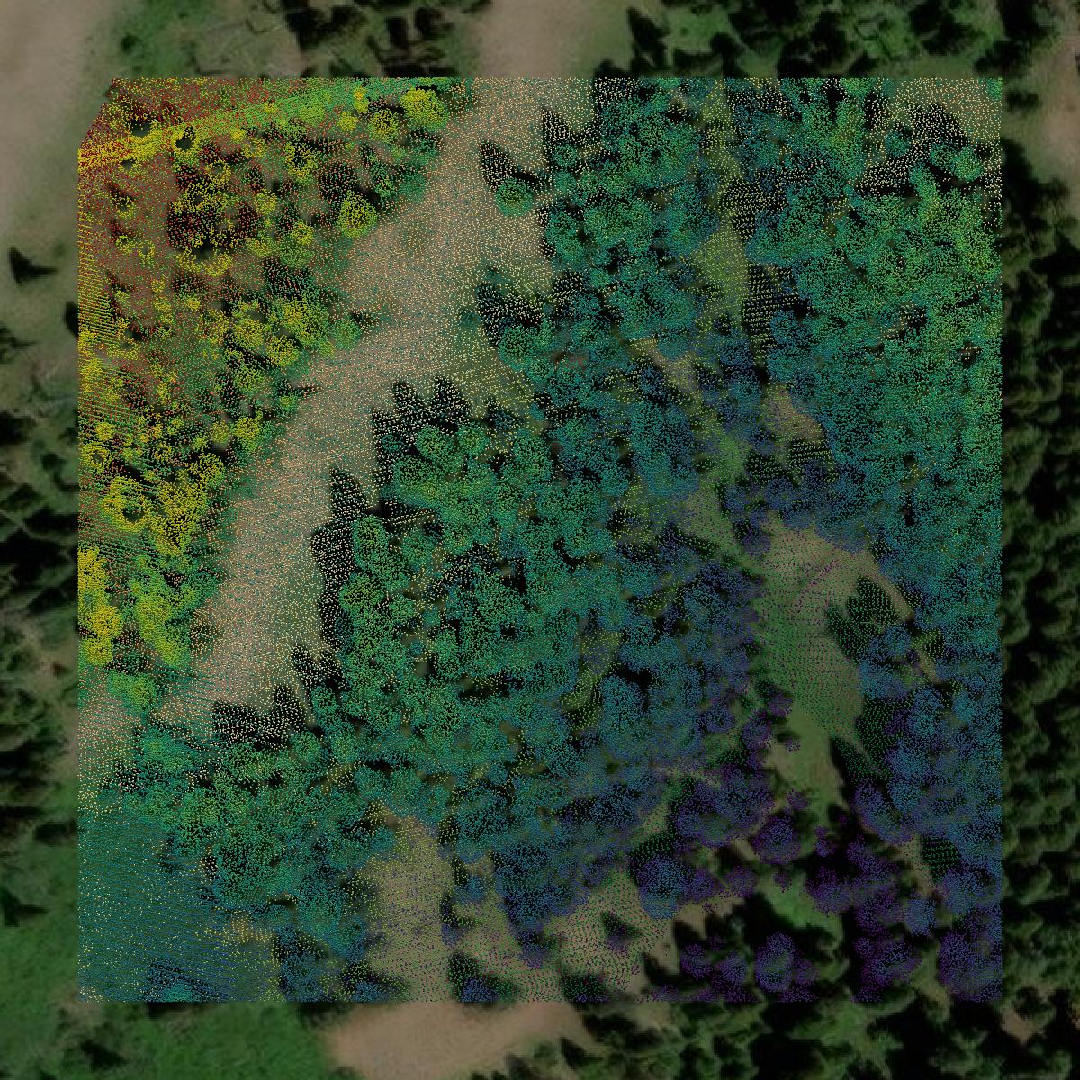 This image shows a LiDAR point cloud in Columbia County created using GIS data in Equator.