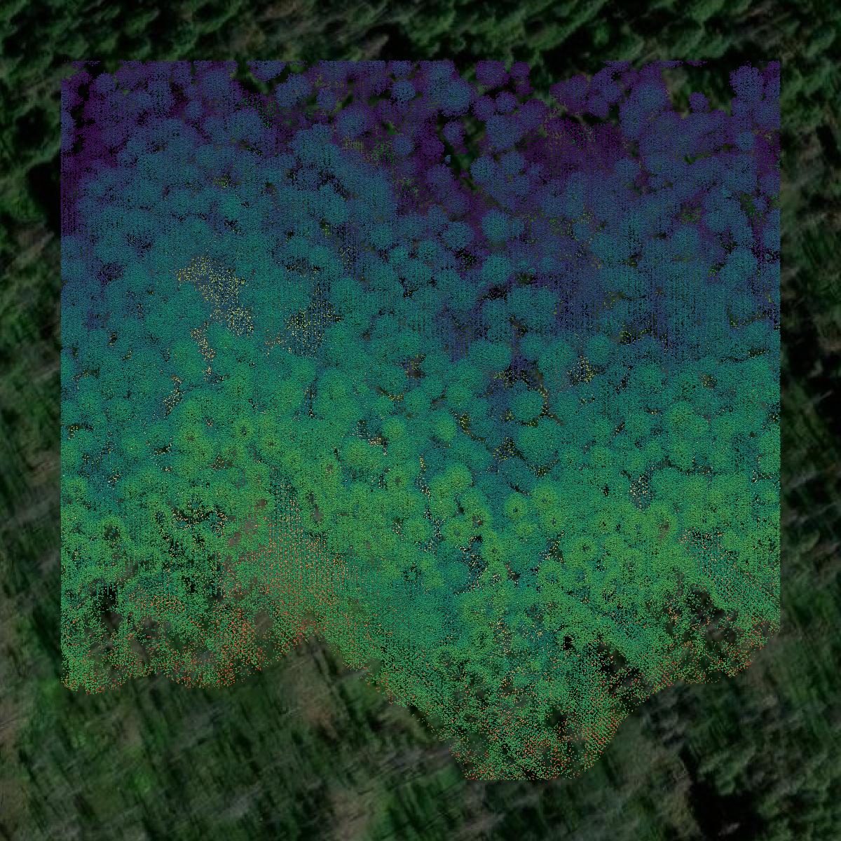 This image shows a LiDAR point cloud in Columbia County created using GIS data in Equator.