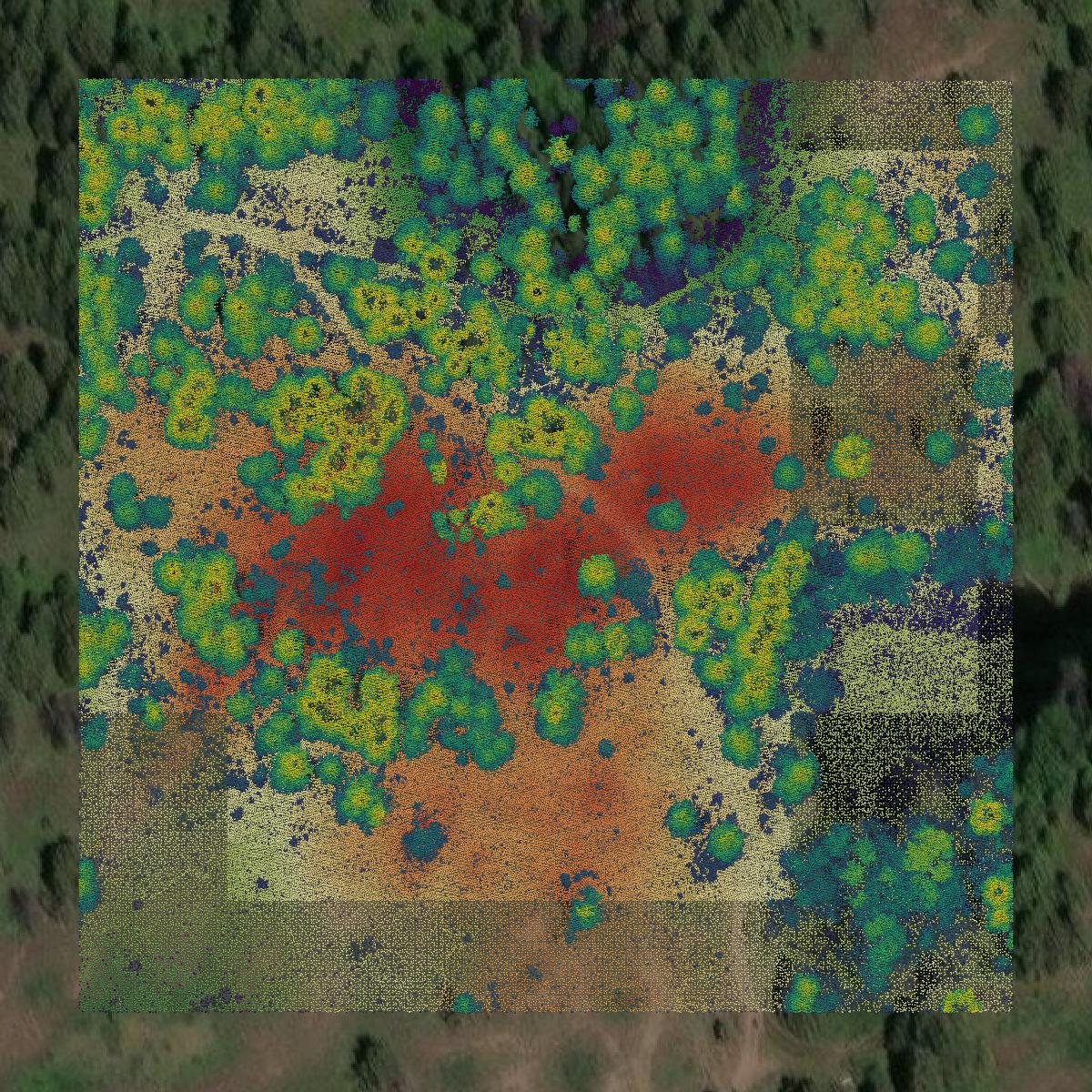 This image shows a LiDAR point cloud in Ferry County created using GIS data in Equator.