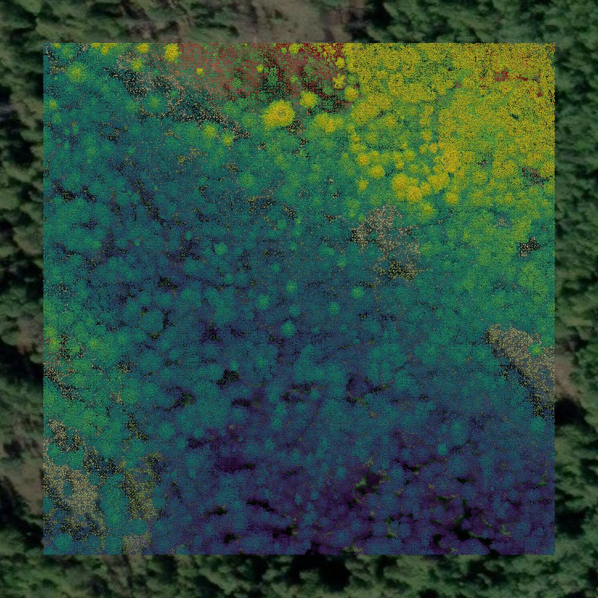 This image shows a LiDAR point cloud in Ferry County created using GIS data in Equator.