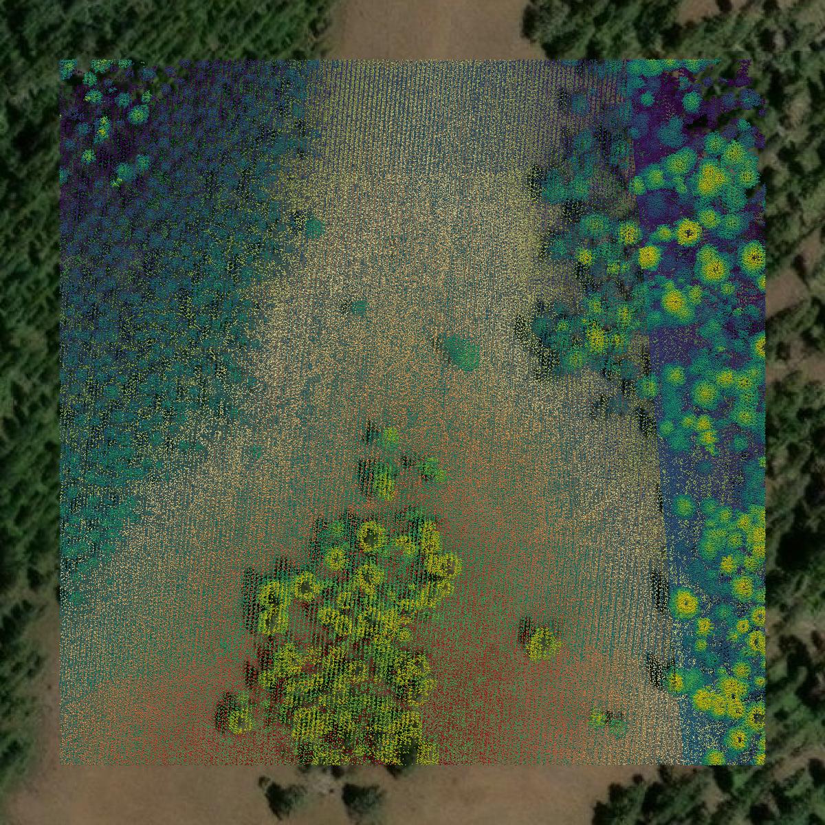 This image shows a LiDAR point cloud in Garfield County created using GIS data in Equator.