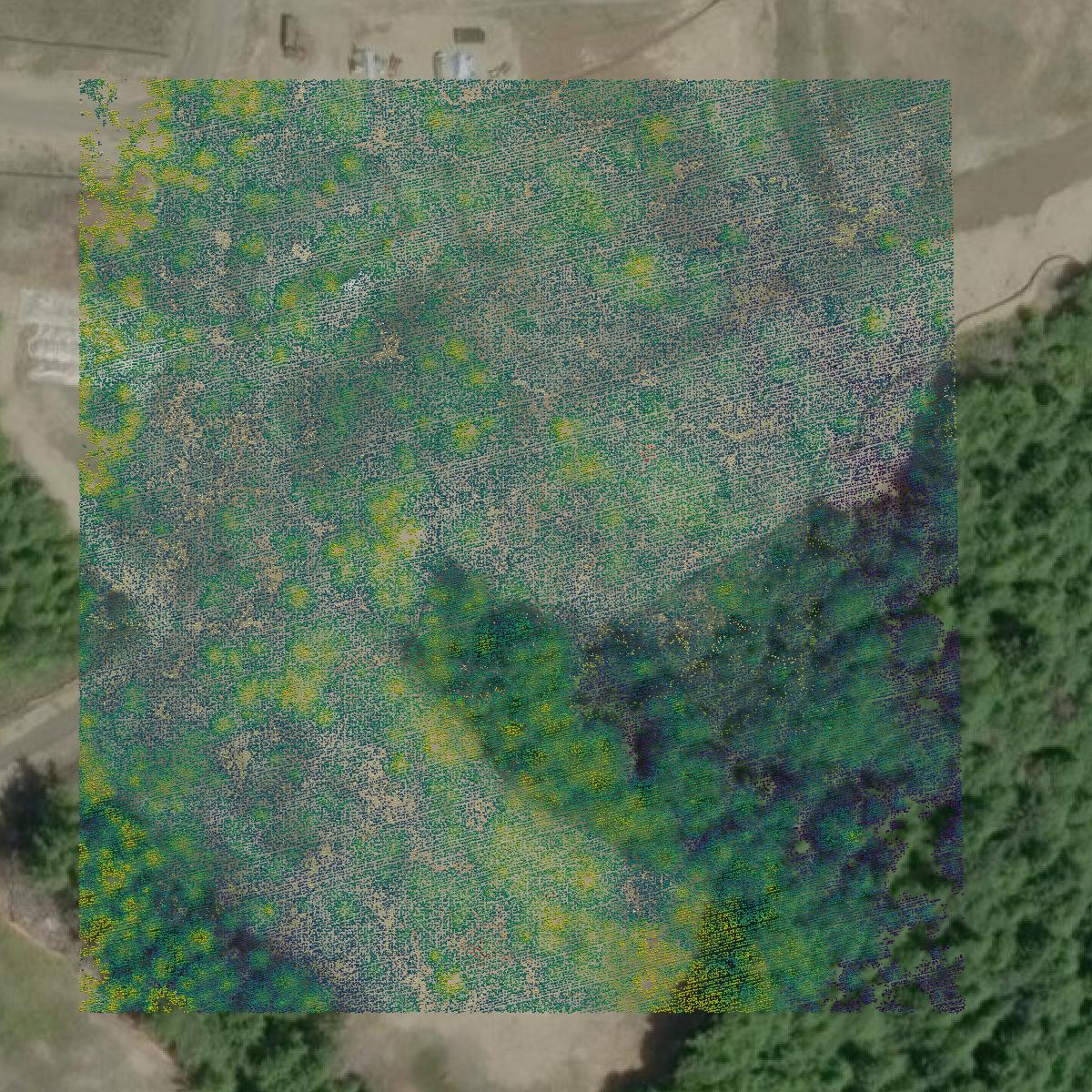 This image shows a LiDAR point cloud in Grays Harbor County created using GIS data in Equator.