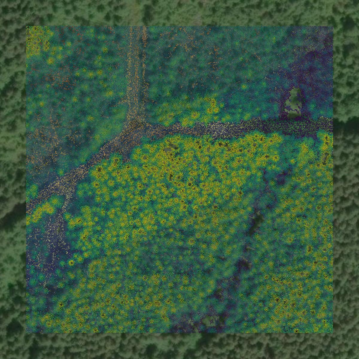 This image shows a LiDAR point cloud in Jefferson County created using GIS data in Equator.